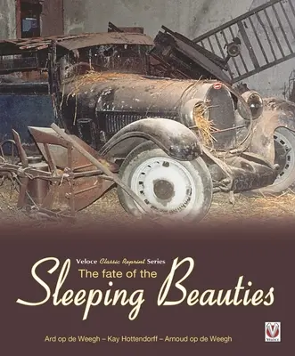 Das Schicksal der schlafenden Schönheiten - The Fate of the Sleeping Beauties