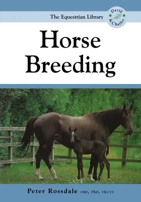 Pferdezucht - Horse Breeding
