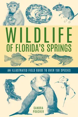 Die Tierwelt von Floridas Quellen: Ein illustrierter Feldführer zu über 150 Arten - Wildlife of Florida's Springs: An Illustrated Field Guide to Over 150 Species