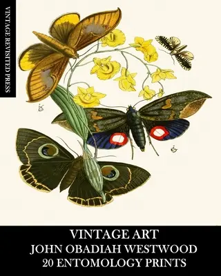 Alte Kunst: John Obadiah Westwood: 20 entomologische Drucke: Fauna und Flora Ephemera für Einrahmung, Collage und Decoupage - Vintage Art: John Obadiah Westwood 20 Entomology Prints: Fauna and Flora Ephemera for Framing, Collage and Decoupage