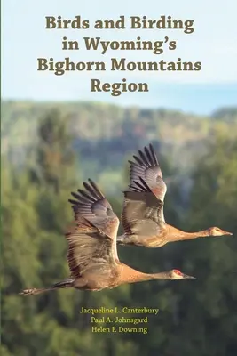 Vögel und Vogelbeobachtung in Wyomings Bighorn Mountains Region - Birds and Birding in Wyoming's Bighorn Mountains Region