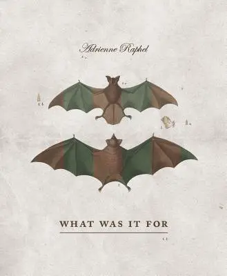 Wofür war es gut? - What Was It for