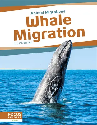 Die Wanderung der Wale - Whale Migration