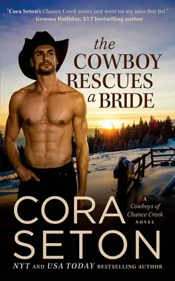 Der Cowboy rettet eine Braut - The Cowboy Rescues a Bride