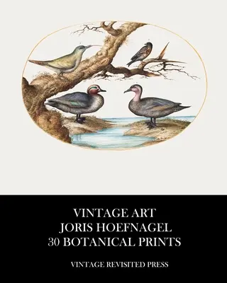 Klassische Kunst: Joris Hoefnagel 30 Botanische Drucke - Vintage Art: Joris Hoefnagel 30 Botanical Prints