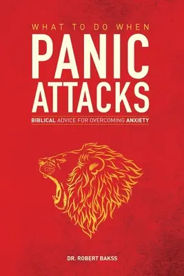 Was bei Panikattacken zu tun ist: Biblische Ratschläge zur Überwindung von Ängsten - What To Do When Panic Attacks: Biblical Advice for Overcoming Anxiety