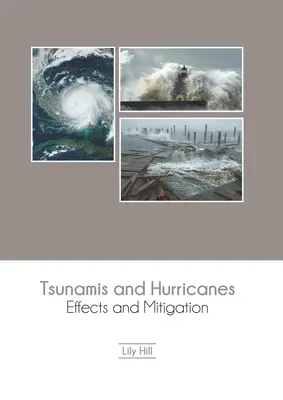 Tsunamis und Wirbelstürme: Auswirkungen und Schadensbegrenzung - Tsunamis and Hurricanes: Effects and Mitigation