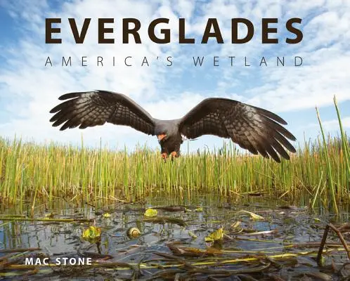 Everglades: Das Feuchtgebiet Amerikas - Everglades: America's Wetland