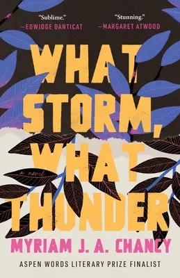 Welcher Sturm, welcher Donner - What Storm, What Thunder