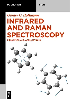 Infrarot- und Raman-Spektroskopie: Prinzipien und Anwendungen - Infrared and Raman Spectroscopy: Principles and Applications