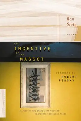 Die Anziehungskraft der Made - The Incentive of the Maggot