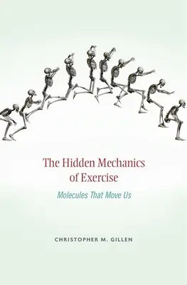 Verborgene Mechanik der Bewegung: Moleküle, die uns bewegen - Hidden Mechanics of Exercise: Molecules That Move Us