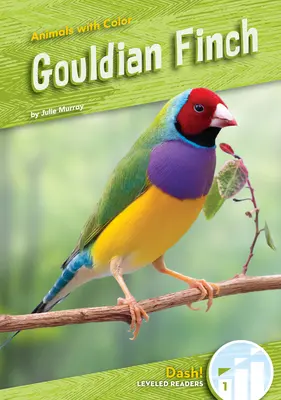 Gouldianer Fink - Gouldian Finch