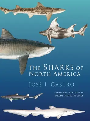 Haie in Nordamerika - Sharks of North America