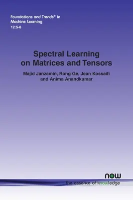 Spektrales Lernen auf Matrizen und Tensoren - Spectral Learning on Matrices and Tensors