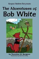 Die Abenteuer von Bob White - The Adventures of Bob White