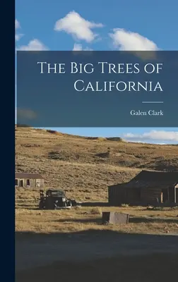 Die großen Bäume von Kalifornien - The Big Trees of California