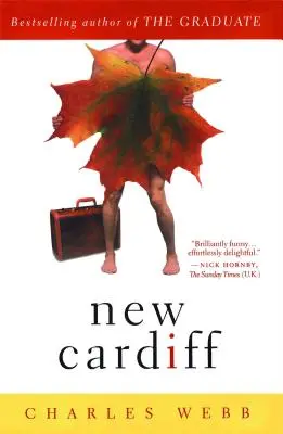 Das neue Cardiff - New Cardiff