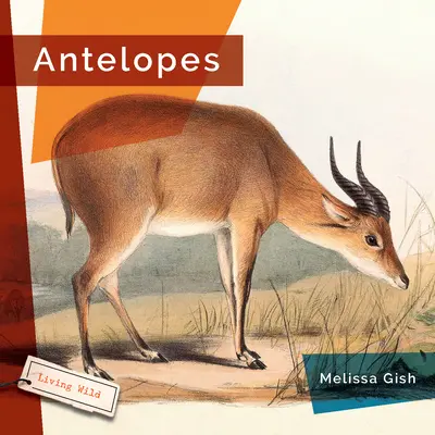 Antilopen - Antelopes