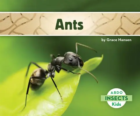 Ameisen - Ants