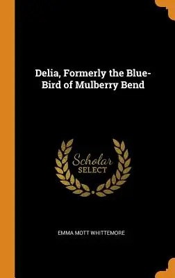 Delia, ehemals der Blaue Vogel von Mulberry Bend - Delia, Formerly the Blue-Bird of Mulberry Bend