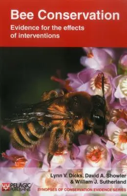 Erhaltung der Bienen: Beweise für die Auswirkungen von Interventionen - Bee Conservation: Evidence for the effects of interventions