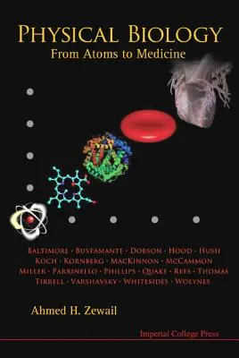 Physikalische Biologie: Von den Atomen zur Medizin - Physical Biology: From Atoms to Medicine