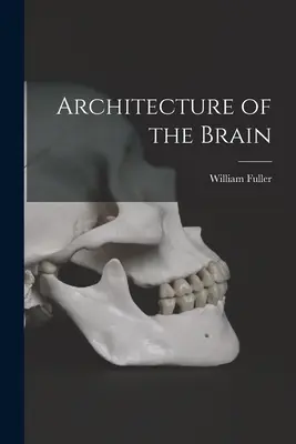 Architektur des Gehirns - Architecture of the Brain