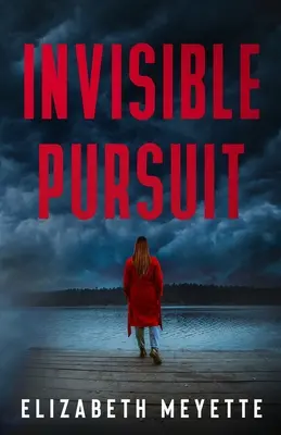 Unsichtbare Verfolgung: Ein romantischer Spannungsroman zwischen Feinden und Liebenden - Invisible Pursuit: An Enemies to Lovers Romantic Suspense