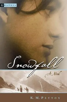 Schneefall - Snowfall