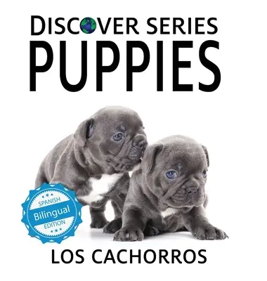 Welpen / Los cachorros - Puppies / Los cachorros