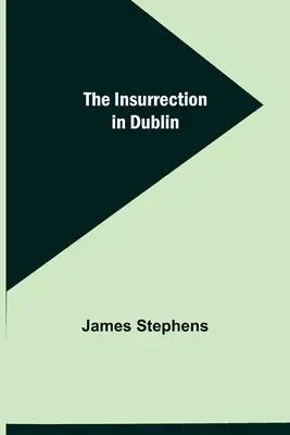 Der Aufruhr in Dublin - The Insurrection in Dublin