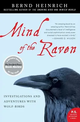 Der Geist des Raben - Mind of the Raven