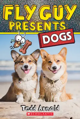 Fliegenmann stellt vor: Hunde - Fly Guy Presents: Dogs