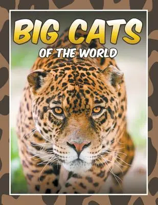 Großkatzen der Welt - Big Cats of the World
