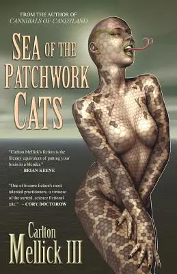 Das Meer der Patchwork-Katzen - Sea of the Patchwork Cats