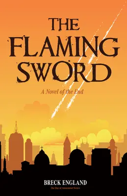 Das flammende Schwert: Ein Roman über das Ende (Religiöse Belletristik, Politischer Krimi) - The Flaming Sword: A Novel of the End (Religious Fiction, Political Mystery)
