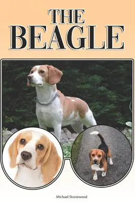 Der Beagle: Ein kompletter und umfassender Leitfaden für Einsteiger: Kaufen, Besitzen, Gesundheit, Pflege, Training, Gehorsam, Verstehen - The Beagle: A Complete and Comprehensive Beginners Guide To: Buying, Owning, Health, Grooming, Training, Obedience, Understanding