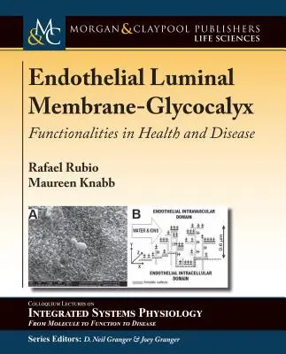 Endotheliale Luminalmembran-Glykokalyx: Funktionalitäten in Gesundheit und Krankheit - Endothelial Luminal Membrane-Glycocalyx: Functionalities in Health and Disease