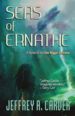 Die Meere von Ernathe: Ein Roman aus dem Star Rigger Universum - Seas of Ernathe: A Novel of the Star Rigger Universe
