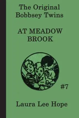 Die Bobbsey-Zwillinge in Meadow Brook - The Bobbsey Twins at Meadow Brook