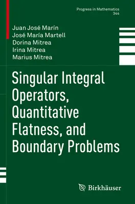 Singuläre Integraloperatoren, Quantitative Ebenheit und Randprobleme - Singular Integral Operators, Quantitative Flatness, and Boundary Problems