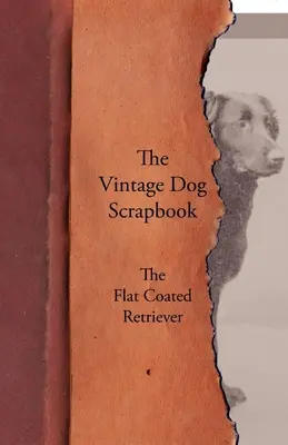 The Vintage Dog Scrapbook - Der Flat Coated Retriever - The Vintage Dog Scrapbook - The Flat Coated Retriever