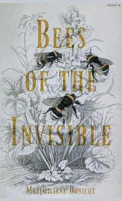Bienen des Unsichtbaren - Bees of the Invisible