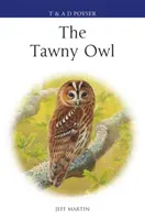 Waldkauz - Tawny Owl