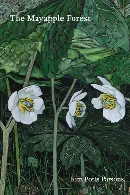 Der Maisapfelwald - The Mayapple Forest