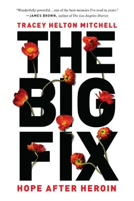 The Big Fix: Hoffnung nach Heroin - The Big Fix: Hope After Heroin