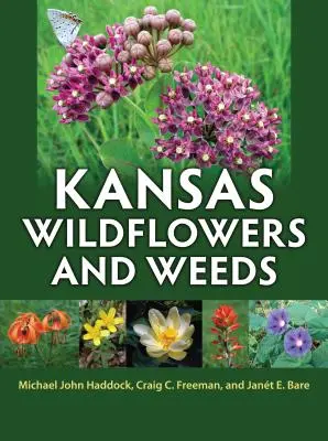 Wildblumen und Unkraut aus Kansas - Kansas Wildflowers and Weeds