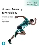 Anatomie und Physiologie des Menschen, Globale Ausgabe - Human Anatomy & Physiology, Global Edition