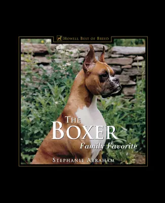 Der Boxer: Familienliebling - The Boxer: Family Favorite